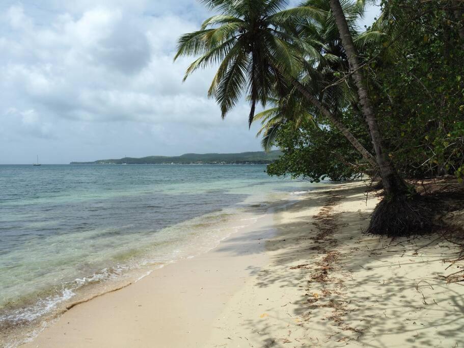 La Ruche De Maia - Blue Dream Beach - Piscine - Jardin - Plage Grand-Bourg  Экстерьер фото
