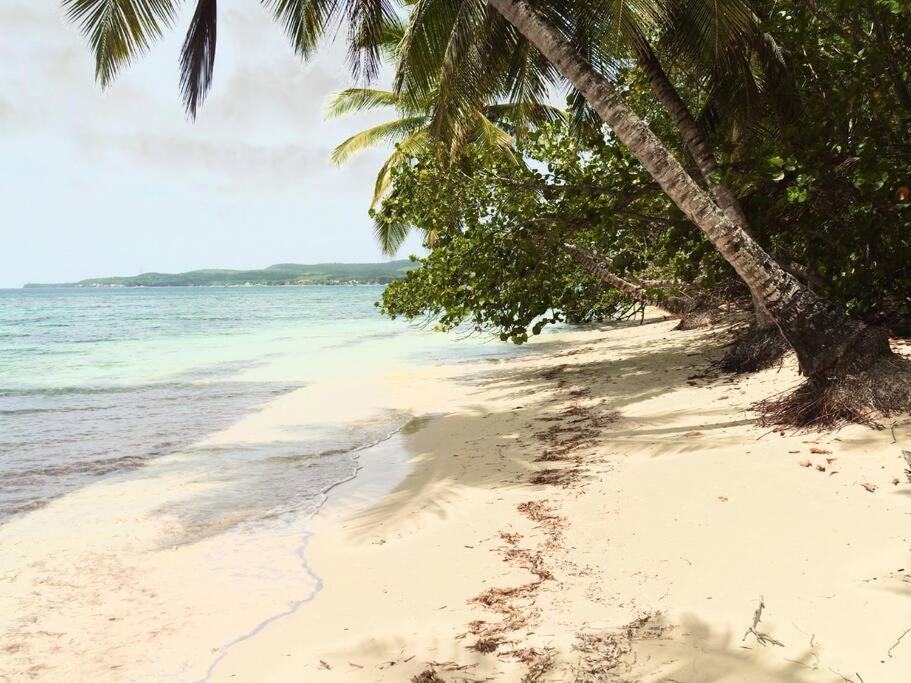 La Ruche De Maia - Blue Dream Beach - Piscine - Jardin - Plage Grand-Bourg  Экстерьер фото