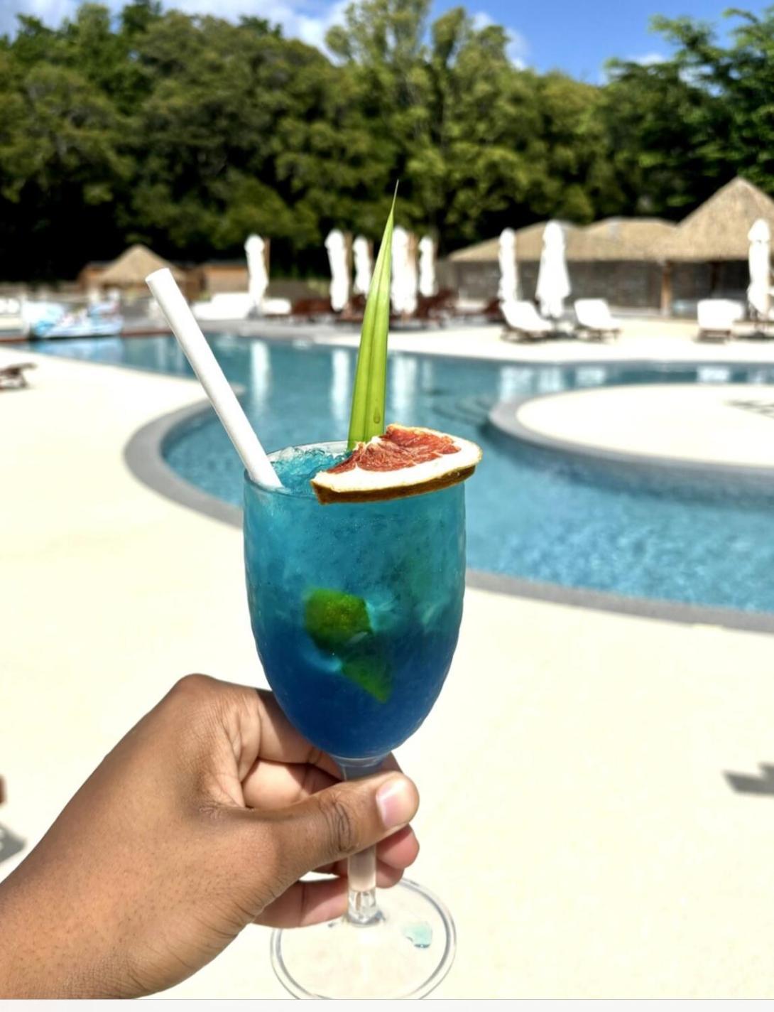 La Ruche De Maia - Blue Dream Beach - Piscine - Jardin - Plage Grand-Bourg  Экстерьер фото